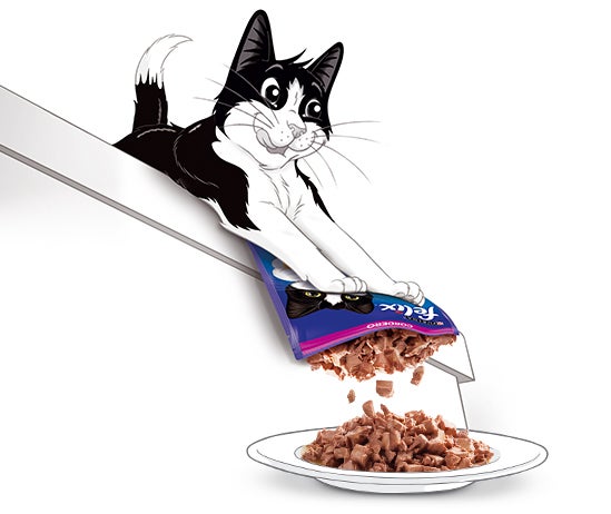 Ilustración del gato Feliz botando su comida húmeda a un plato 