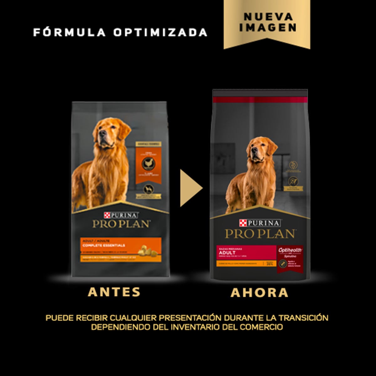 Por Qu Mi Perro Est Triste Purina