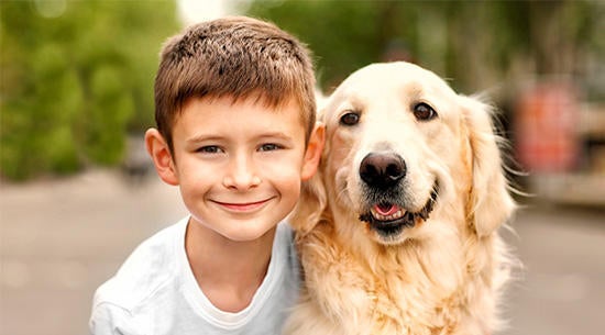 Foto de niño con un perro Golden Retriever