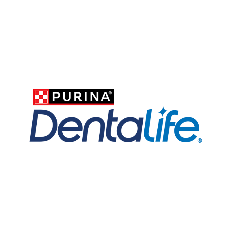 Dentalife_C