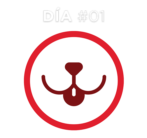 Día #01 Día #01