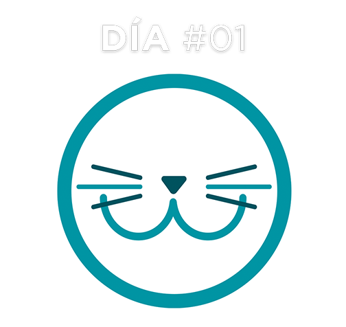 Día #01 Día #01