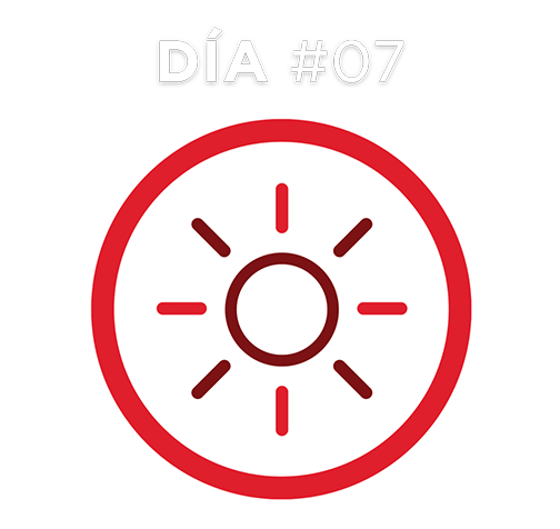 Día #7 Día #7