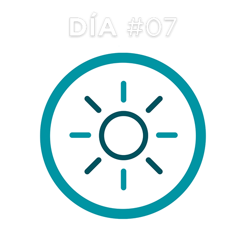 Día #07 Día #07