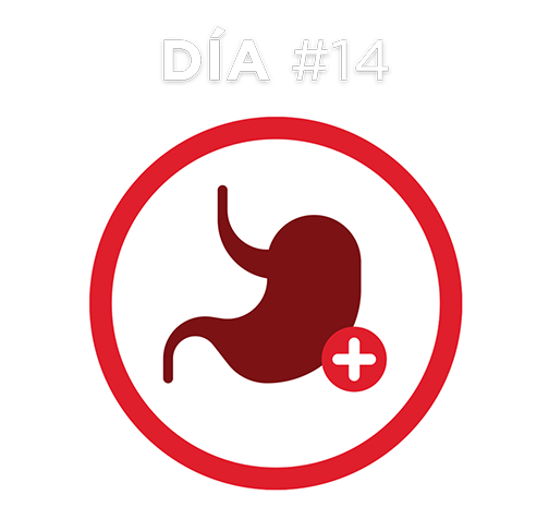 Día #14 Día #14