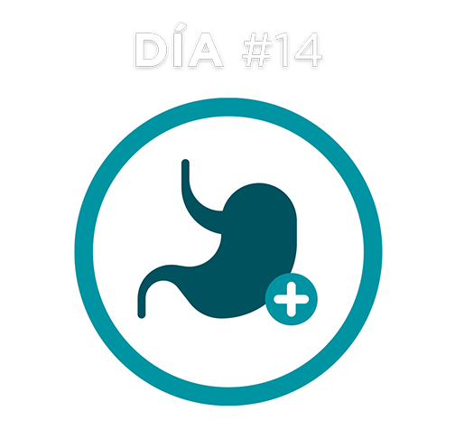 Dia #14 Dia #14