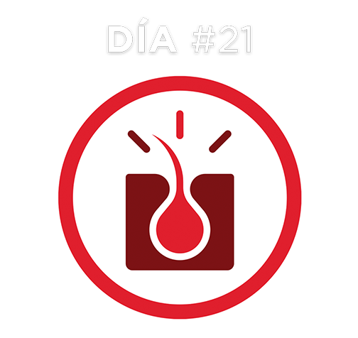 Día #21 Día #21
