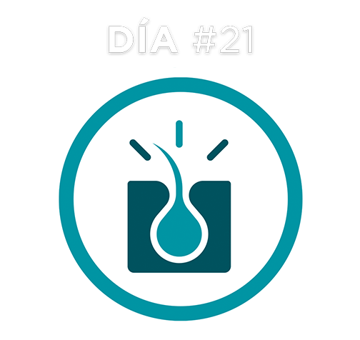 Día #21 Día #21