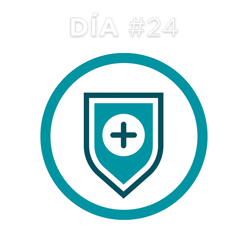 Día 24 Día 24