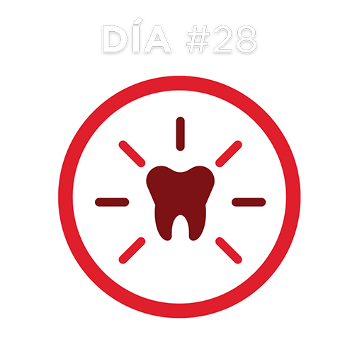 Día #28 Día #28