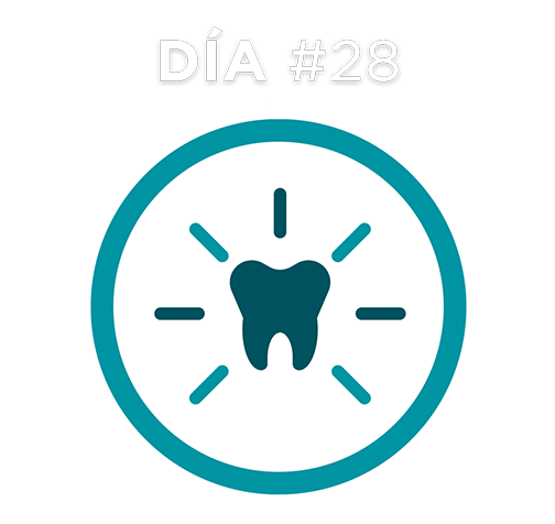 Día #28 Día #28