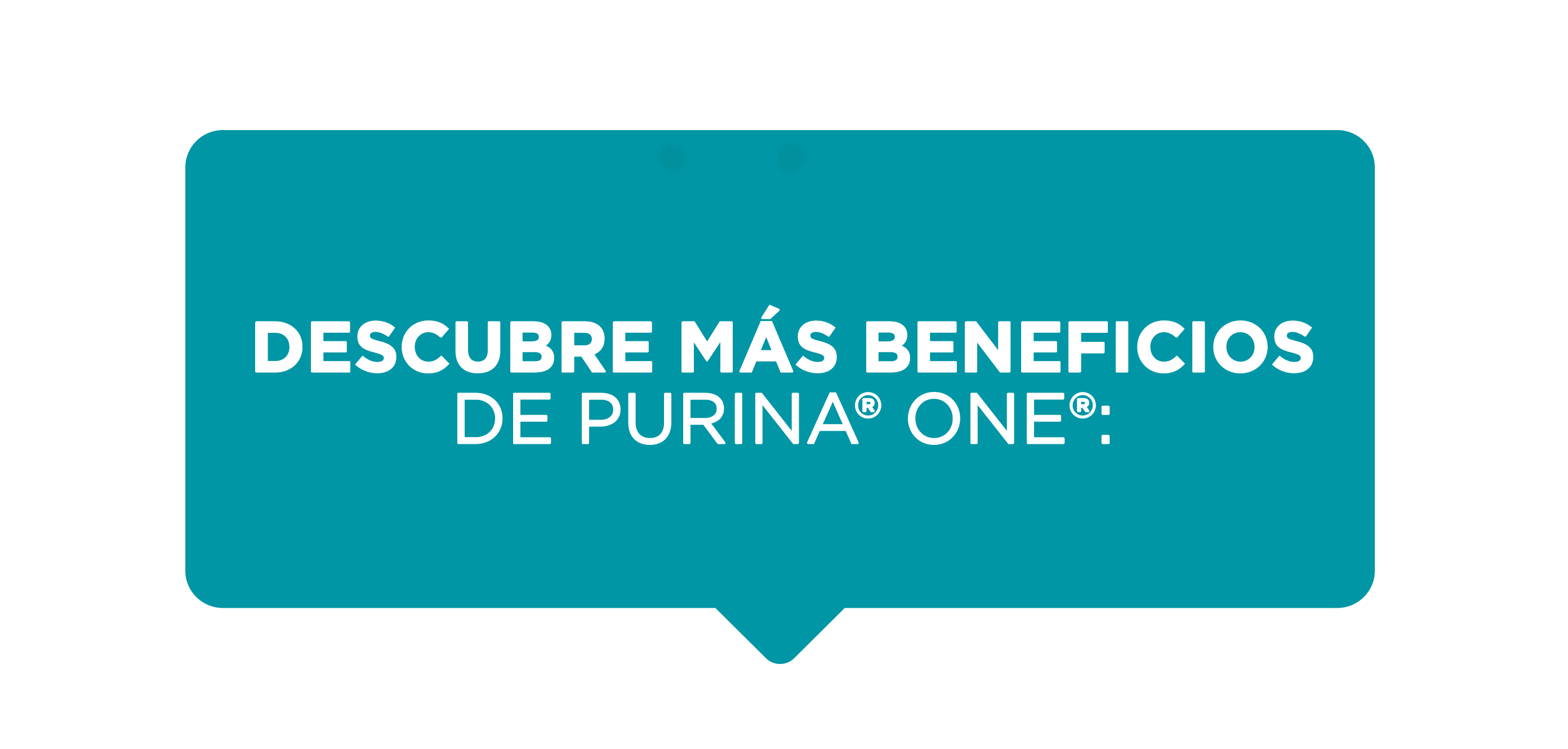 Descubre más beneficios