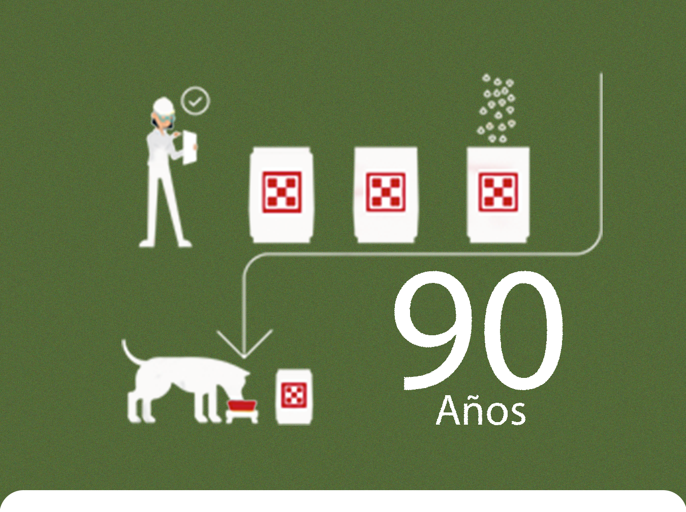 +90 años +90 años