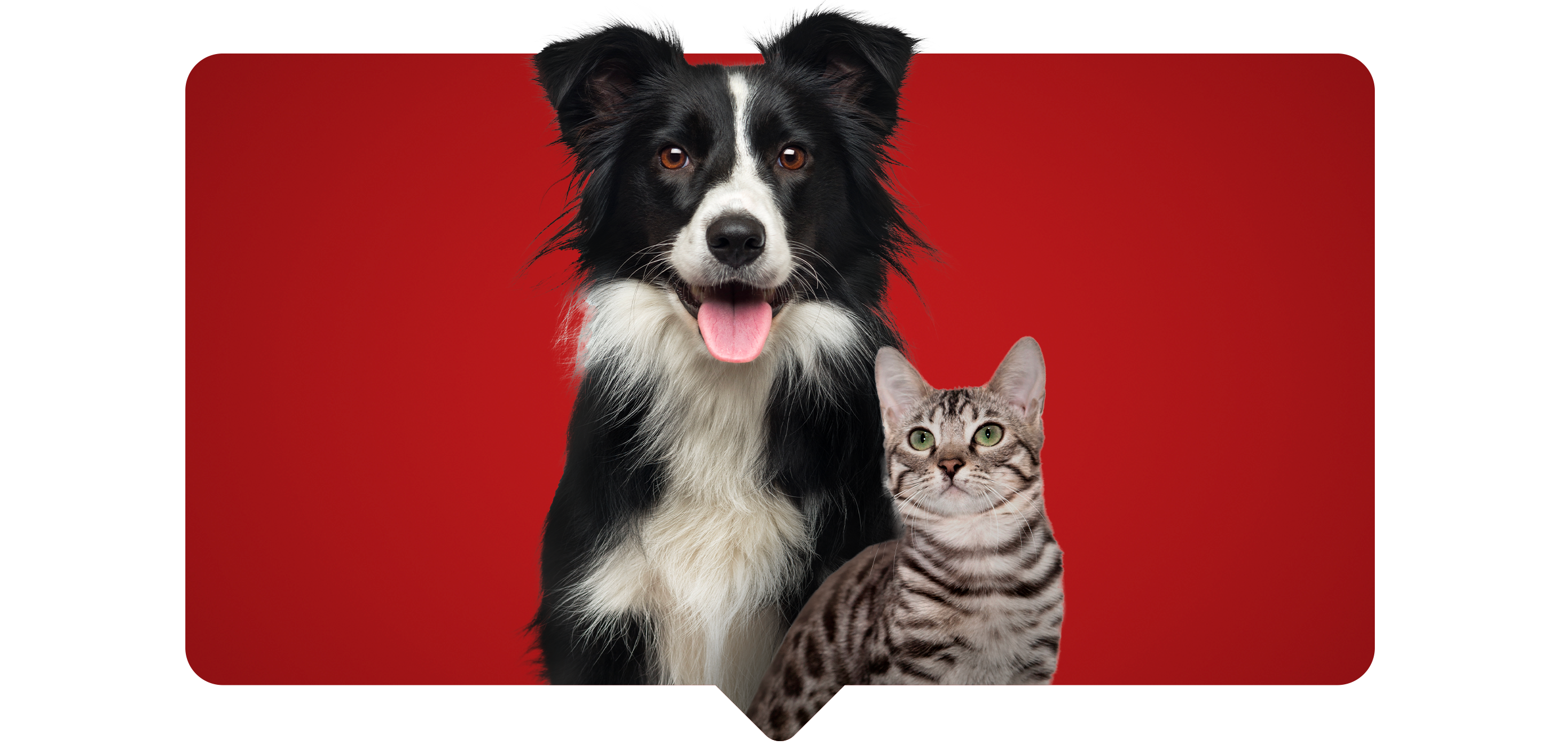 Newsletter Newsletter