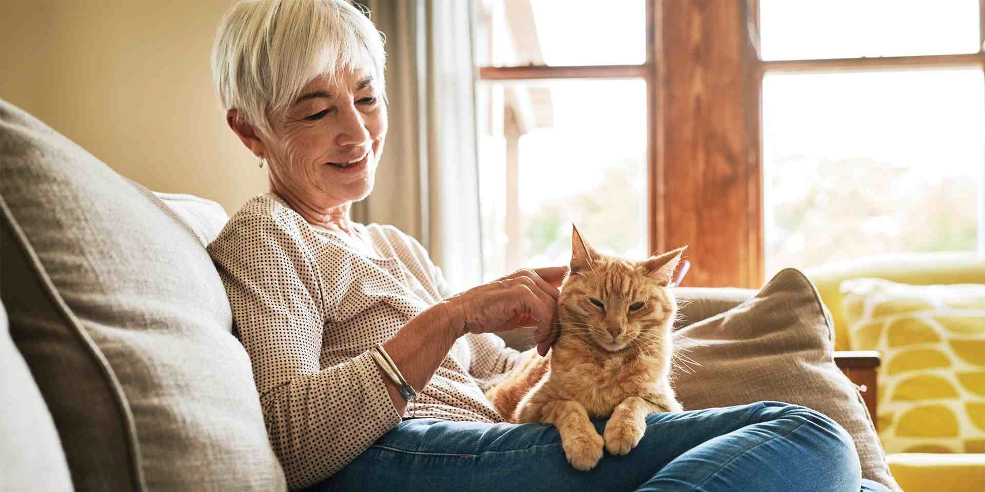 Alimentos para gatos con problemas renales. Tutora y gato senior.