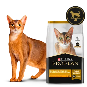 Purina%C2%AE-Proplan%C2%AE-Optifit.png.webp?itok=HOF9tWMG