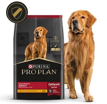 adult_pro_plan.png.webp?itok=k9pH-d9e adult_pro_plan.png.webp?itok=k9pH-d9e