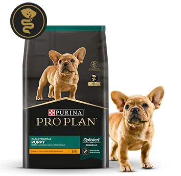 puppy_pro_plan.png.webp?itok=s_K2os7q puppy_pro_plan.png.webp?itok=s_K2os7q