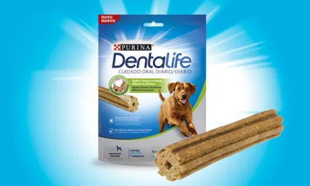 dentalife-perro-grande.png.webp?itok=zhfcE2aw