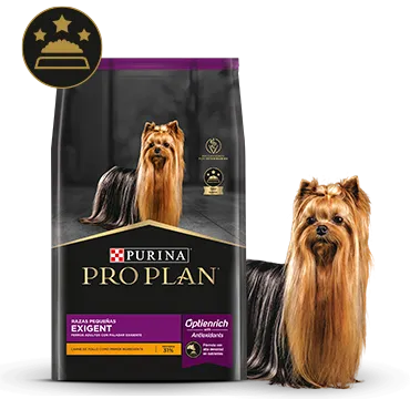 perros_exigent_pro_plan.png.webp?itok=HtUBNbHp perros_exigent_pro_plan.png.webp?itok=HtUBNbHp
