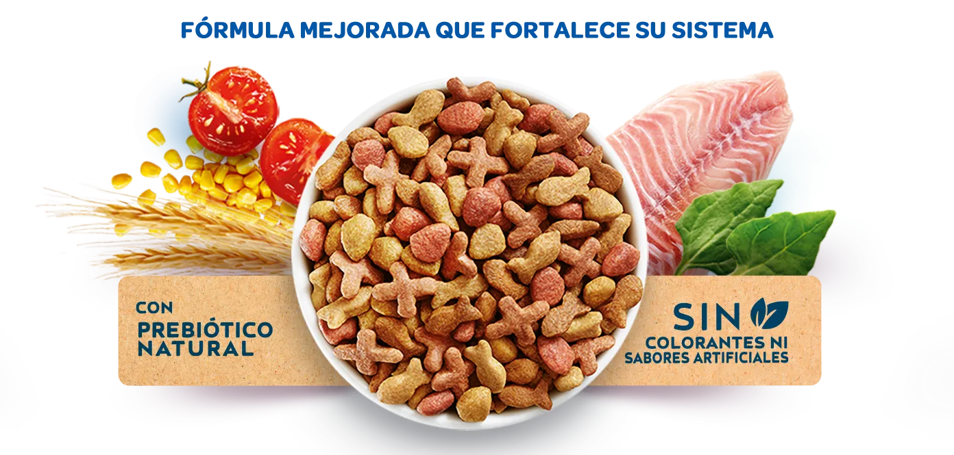 purina-cat-chow-formula-mejorada_0.png